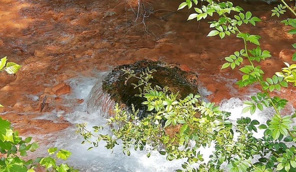 Riverkeeper_AMDstory3_2021.jpg